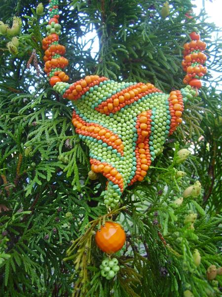 Twister 006 (Medium)